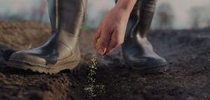 Termelővédelmi törvénycsomag