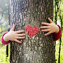 Green Taxes and Measures - Andersen